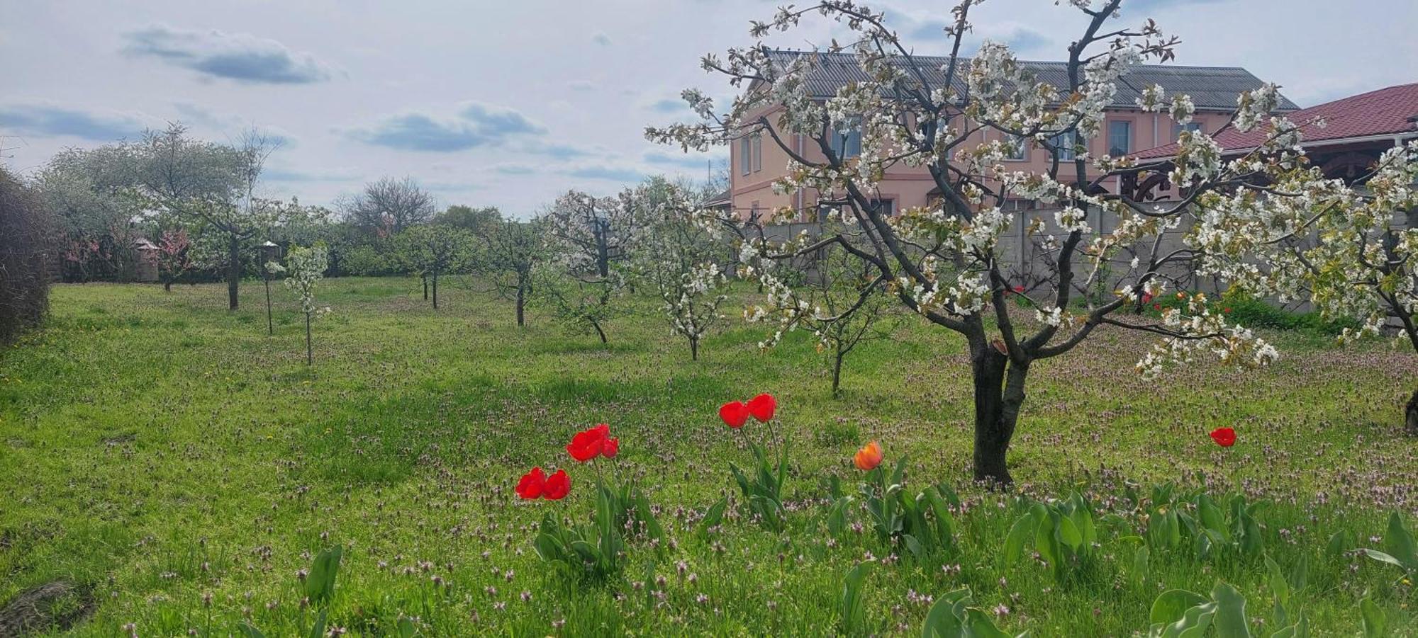 Садиба Зеленого Туризму «Золота Рибка» Medvedevka ภายนอก รูปภาพ