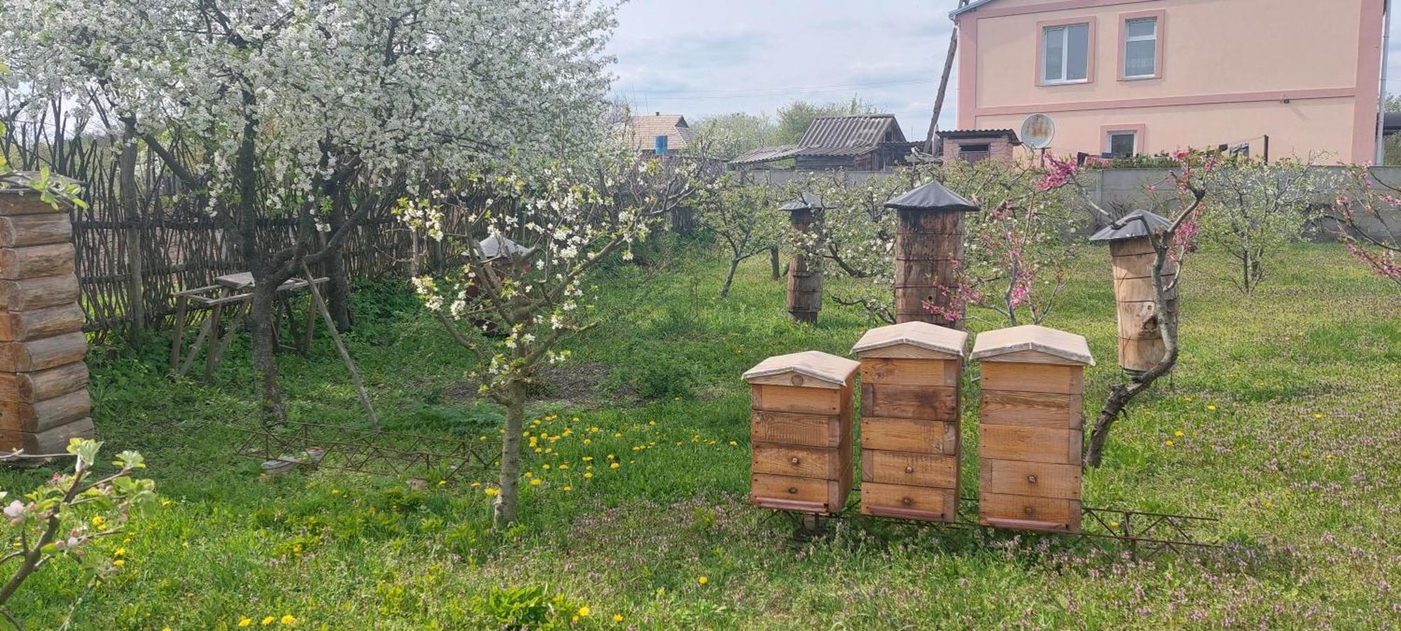 Садиба Зеленого Туризму «Золота Рибка» Medvedevka ภายนอก รูปภาพ